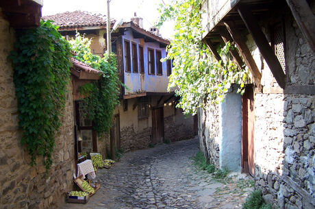 BURSA İZNİK GÖLYAZI TURU 1 GECE