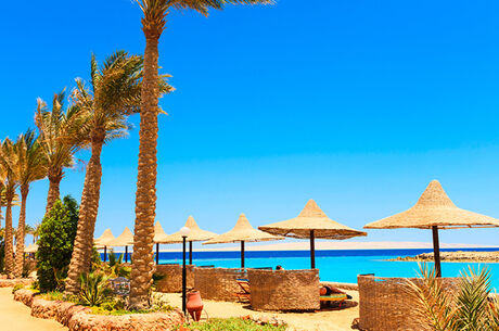 Sömestir Özel Hurgada & Kahire & Sharm El Sheikh Turu Türk Havayolları ile 8 Gece 9 Gün IS001