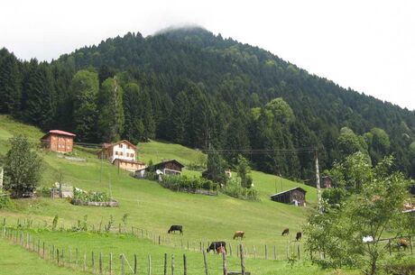 Karadeniz Yaylalar ve Batum Turu 3 Gece